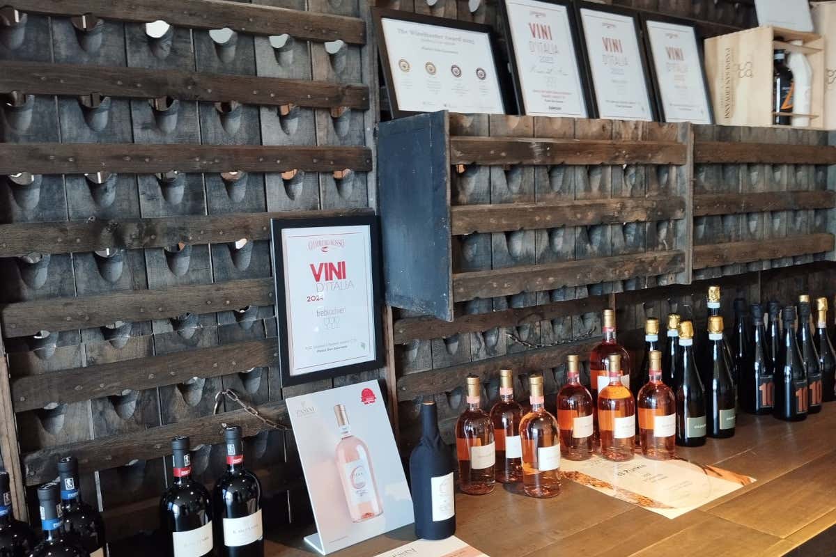 C per Pasini: il Chiaretto della Valtènesi su cui puntano i quattro cugini